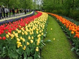 Holland-Keukenhof