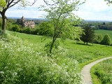 Richmond-on-Thames